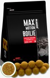 Haldorado - Boilies Max Motion Boilie Long Life 16mm, 800g - Aluna Spaniola
