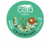 Unguent cicatrizant, 20g, Ceta Sibiu