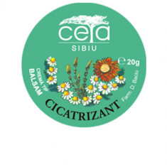 Unguent cicatrizant, 20g, Ceta Sibiu