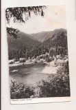 RF206 - Carte Postala - Tusnad. Lacul Ciucas, circulata 1965