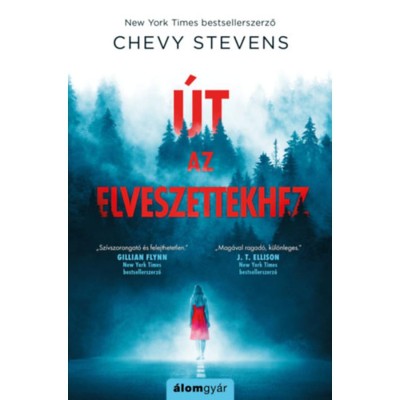 &amp;Uacute;t az elveszettekhez - Chevy Stevens foto