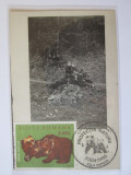 Rară! Carte poștală Ungaria circa 1898:Vanatoare de ursi,maxima Romania 1986