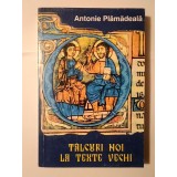 Antonie Plămădeală - T&acirc;lcuri noi la texte vechi (ediția a II-a)