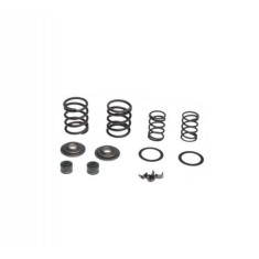 Arcuri supape cross 160cc YX160