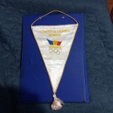 Fanion Comitetul Olimpic Roman