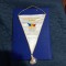 Fanion Comitetul Olimpic Roman