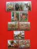 PARAGUAY, PICTURI - SERIE COMPLETĂ MNH, Nestampilat