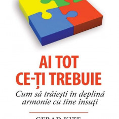 Ai tot ce-ti trebuie Cum sa traiesti in deplina armonie cu tine insuti