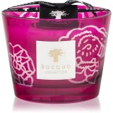 Baobab Collection Collectible Roses Burgundy lum&acirc;nare parfumată 10 cm