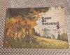 Caiet Botanica Clasa a 5-a, Valeria Barbu, Zoe Partin, 1976, Editura Didactica si Pedagogica
