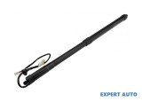 Amortizor haion dreapta spate Lexus RX (2015-&gt;)[_L2_] #1