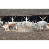 Iesle rotunda pentru baloti 12 locuri