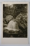 CASCADA BICAZULUI FACUTA IN CHEI , CARTE POSTALA , 1937