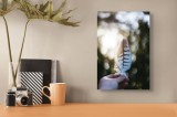 Tablou Canvas Natura Lumina Bl&acirc;ndă Bokeh Moale Verde, 26 x 39 cm, CMCLASS