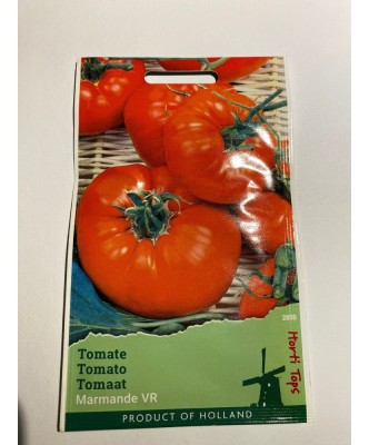 Seminte Tomate Marmande 1 g. foto
