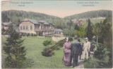 CP Anina Stajerlak ND(1916), Circulata, Fotografie
