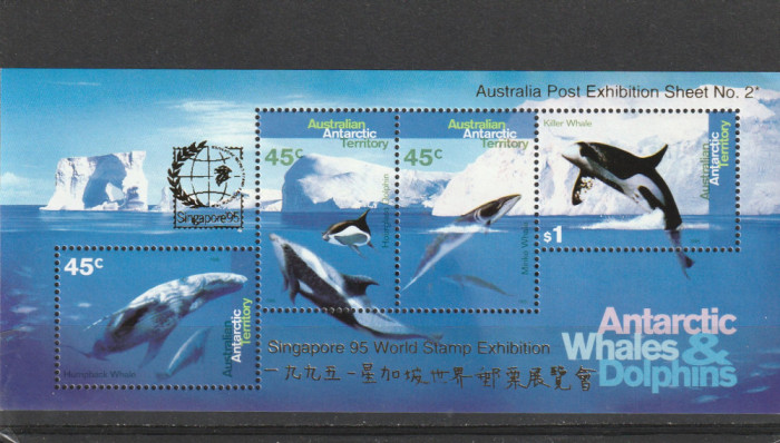 Fauna ,viata artica.delfini ,supratipar expo ,Teritoriul Antartic Australian .