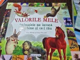 Valorile mele. Animalele ne invata ce-i bine si ce-i rau - Jose Moran