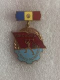 Insigna brigadier al muncii patriotice