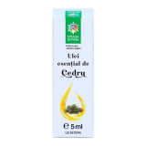 Ulei esential de Cedru, 5 ml, Steaua Divina