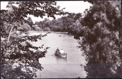 AMS - ILUSTRATA 1008 BUZAU - LACUL DIN CRING, 1963, CIRCULATA foto