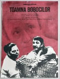 Toamna bobocilor - afis film romanesc, Romaniafilm 1975, cinema Epoca de Aur
