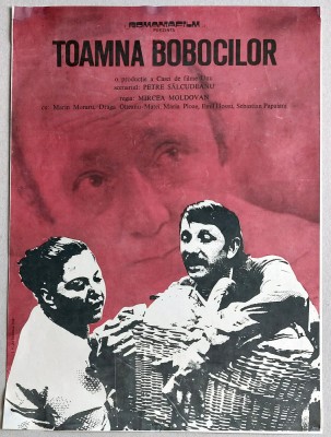 Toamna bobocilor - afis film romanesc, Romaniafilm 1975, cinema Epoca de Aur foto