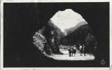 CP1909N Regiunea lacului Ghilcoș/Gyilkos-t&oacute; k&ouml;rny&eacute;ke/Umgebung des Gyilkos-See, carte poștală