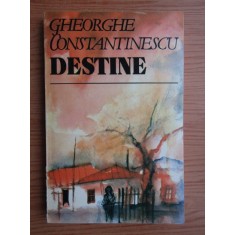 Gheorghe Constantinescu - Destine
