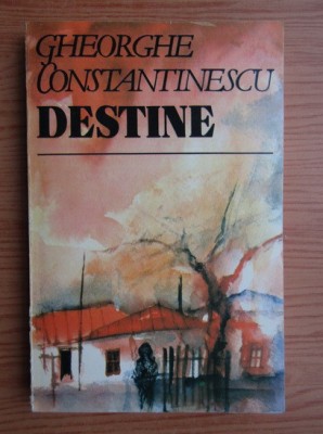 Gheorghe Constantinescu - Destine foto