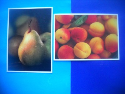 HOPCT LOT NR 1146 FRUCTE - 2 CARTI POSTALE-NECIRCULATE&amp;#039;&amp;#039; foto