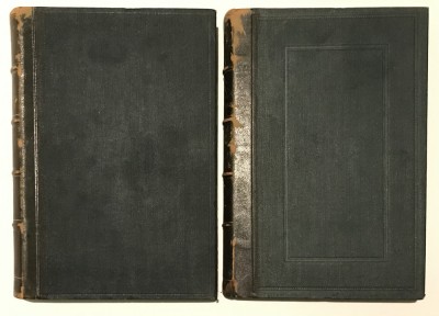 Nouveau Dictionnaire Roumain-Fran&amp;ccedil;ais, (A-Z), Fr&amp;eacute;d&amp;eacute;ric Dam&amp;eacute;, 1893,1894 foto