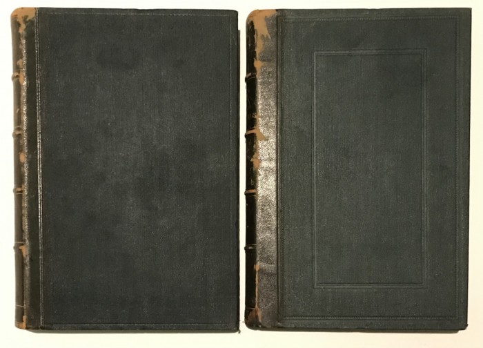 Nouveau Dictionnaire Roumain-Fran&ccedil;ais, (A-Z), Fr&eacute;d&eacute;ric Dam&eacute;, 1893,1894
