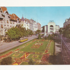 RF6 -Carte Postala- Timisoara, b-dul 30 Decembrie, circulata 1963