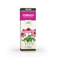 Tinctura de Echinaceea Purpureea, 200ml, Dorel Plant