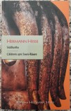 Siddhartha; Calatorie spre Soare-Rasare - Hermann Hesse