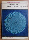 Gheorghe Gussi - Itinerar in analiza matematica