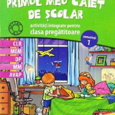 Primul meu caiet de scolar. Activitati integrate pentru clasa pregatitoare - Alina Nicolae-Pertea, Dumitra Radu
