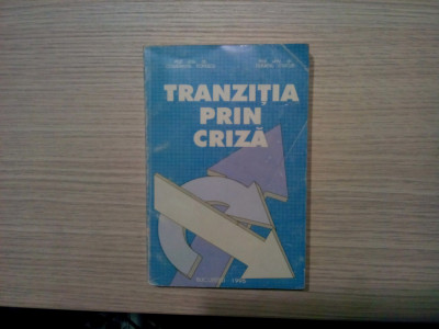 TRANZITIA PRIN CRIZA - C. Popescu (autograf), D. Ciucur - 1995, 446 p. foto