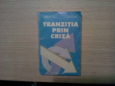 TRANZITIA PRIN CRIZA - C. Popescu (autograf), D. Ciucur - 1995, 446 p. foto