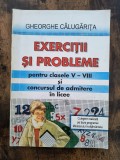Exercitii si probleme pentru clasele V-VIII - Gheorghe Calugarita / R5P1F