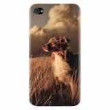 Husa silicon pentru Apple Iphone 4 / 4S, Alone Dog Animal In Grass