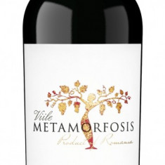 Vin rosu - Metamorfosis, 2016, sec | Viile Metamorfosis