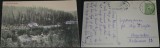 Lot 9 CP Transilvania (Arad, Satu Mare, Sibiu, Homorod, Dej), Necirculata, Printata