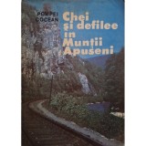 Pompei Cocean - Chei si defilee in Muntii Apuseni (Editia: 1988)