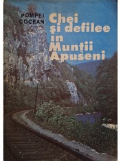 Pompei Cocean - Chei si defilee in Muntii Apuseni (Editia: 1988) foto