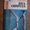 Lucian Ionica - Ziua confuza
