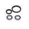 Set rulmenti roata fata Honda CRF 250X 04- 17, CRF 450X 05- 17 Allballs 25-1521