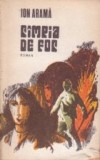 Cimpia de foc