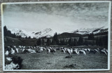 Stana in Muntii Bucegi// CP foto J. Fischer Sibiu 1935, Circulata, Fotografie